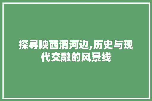 探寻陕西渭河边,历史与现代交融的风景线