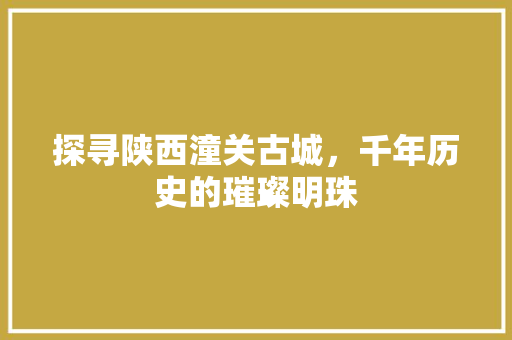 探寻陕西潼关古城，千年历史的璀璨明珠