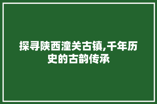 探寻陕西潼关古镇,千年历史的古韵传承