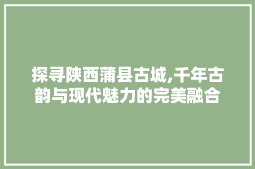 探寻陕西蒲县古城,千年古韵与现代魅力的完美融合