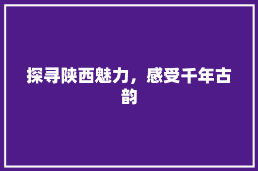 探寻陕西魅力，感受千年古韵