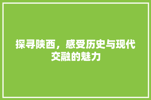 探寻陕西，感受历史与现代交融的魅力