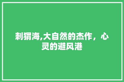 刺猬海,大自然的杰作，心灵的避风港