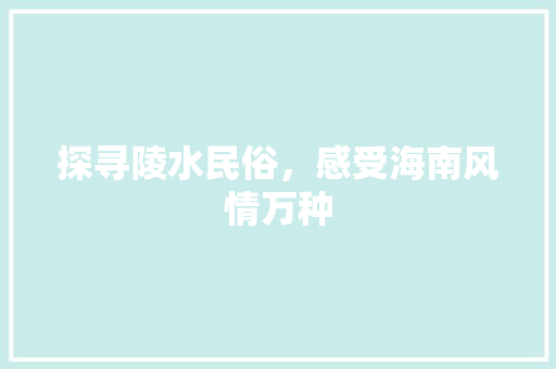 探寻陵水民俗，感受海南风情万种