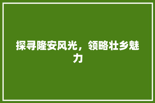 探寻隆安风光，领略壮乡魅力