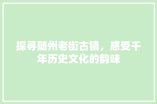 探寻随州老街古镇，感受千年历史文化的韵味