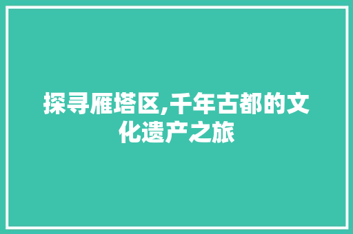 探寻雁塔区,千年古都的文化遗产之旅