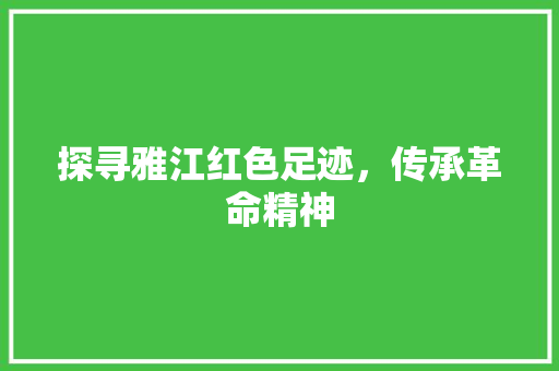 探寻雅江红色足迹，传承革命精神