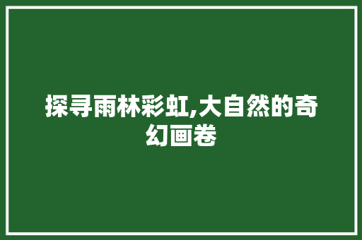 探寻雨林彩虹,大自然的奇幻画卷