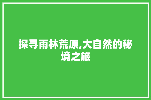 探寻雨林荒原,大自然的秘境之旅