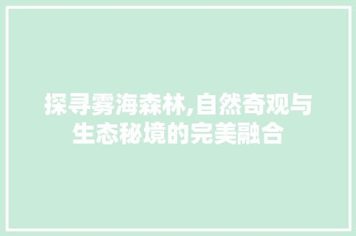 探寻雾海森林,自然奇观与生态秘境的完美融合  第1张