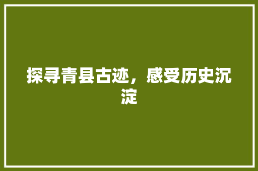 探寻青县古迹，感受历史沉淀