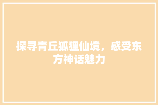 探寻青丘狐狸仙境，感受东方神话魅力