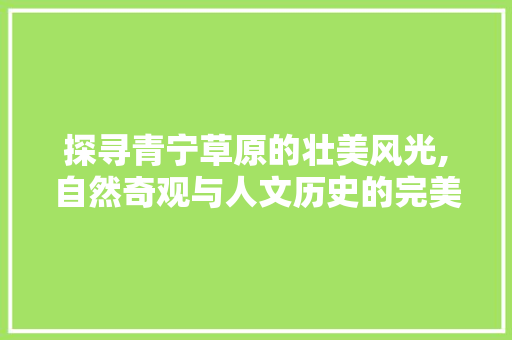 探寻青宁草原的壮美风光,自然奇观与人文历史的完美融合