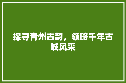 探寻青州古韵，领略千年古城风采  第1张