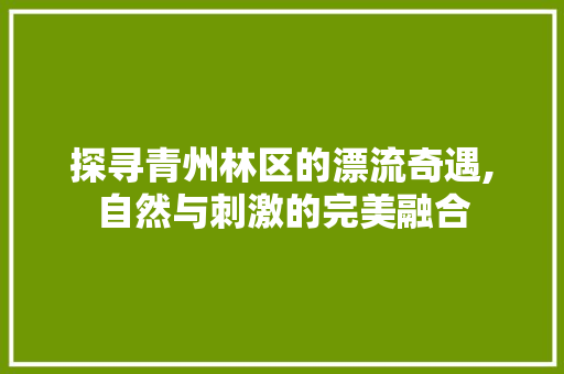 探寻青州林区的漂流奇遇,自然与刺激的完美融合