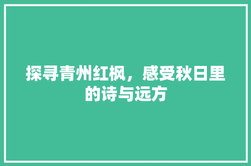 探寻青州红枫，感受秋日里的诗与远方