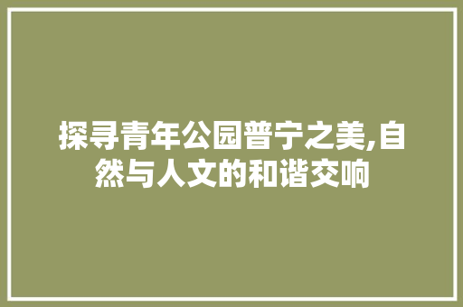 探寻青年公园普宁之美,自然与人文的和谐交响