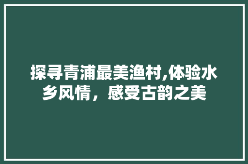 探寻青浦最美渔村,体验水乡风情，感受古韵之美