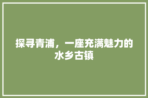 探寻青浦，一座充满魅力的水乡古镇