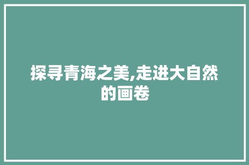 探寻青海之美,走进大自然的画卷  第1张