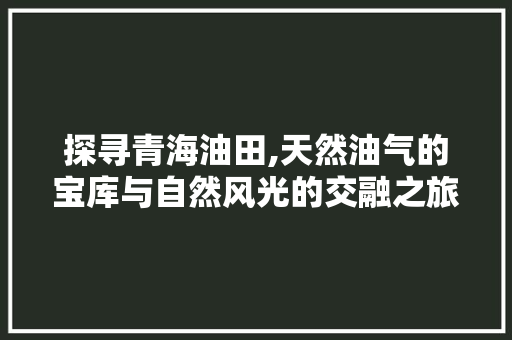 探寻青海油田,天然油气的宝库与自然风光的交融之旅