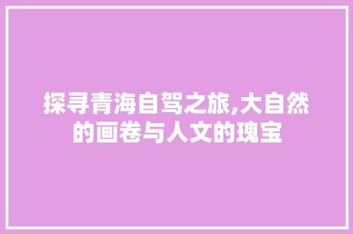 探寻青海自驾之旅,大自然的画卷与人文的瑰宝