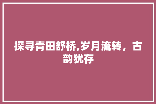 探寻青田舒桥,岁月流转，古韵犹存  第1张