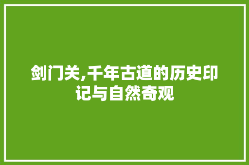 剑门关,千年古道的历史印记与自然奇观  第1张