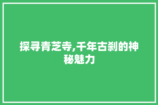 探寻青芝寺,千年古刹的神秘魅力