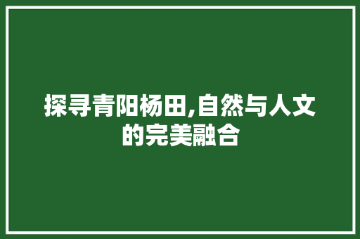 探寻青阳杨田,自然与人文的完美融合