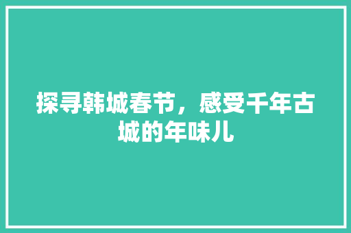 探寻韩城春节，感受千年古城的年味儿