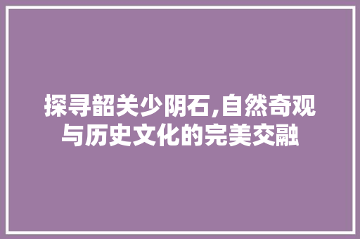 探寻韶关少阴石,自然奇观与历史文化的完美交融