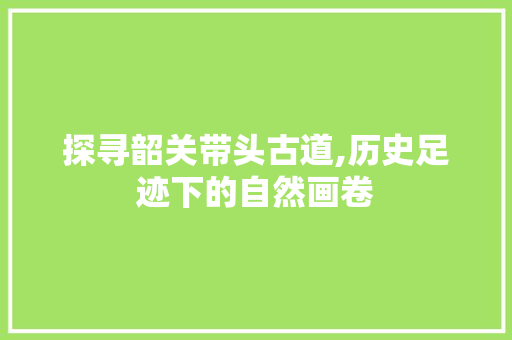 探寻韶关带头古道,历史足迹下的自然画卷