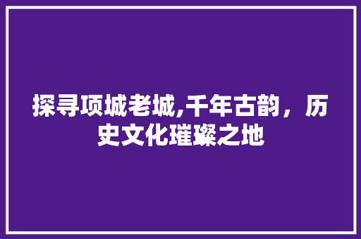 探寻项城老城,千年古韵，历史文化璀璨之地