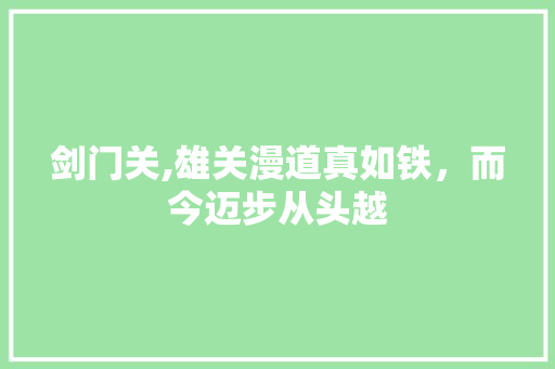 剑门关,雄关漫道真如铁，而今迈步从头越