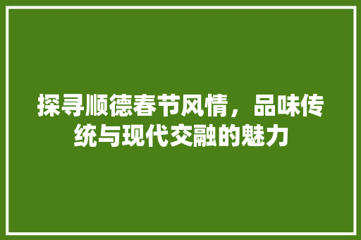 探寻顺德春节风情，品味传统与现代交融的魅力