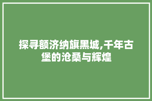 探寻额济纳旗黑城,千年古堡的沧桑与辉煌