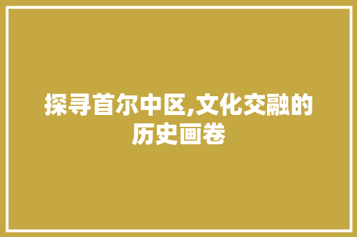 探寻首尔中区,文化交融的历史画卷