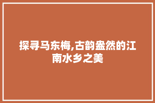 探寻马东梅,古韵盎然的江南水乡之美