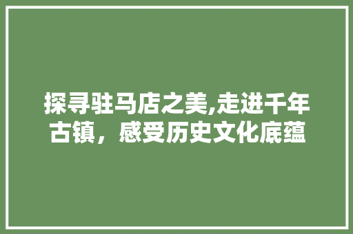 探寻驻马店之美,走进千年古镇，感受历史文化底蕴