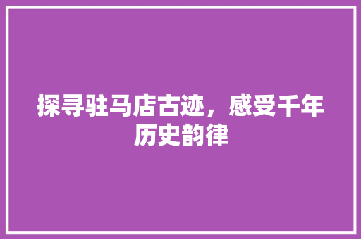 探寻驻马店古迹，感受千年历史韵律