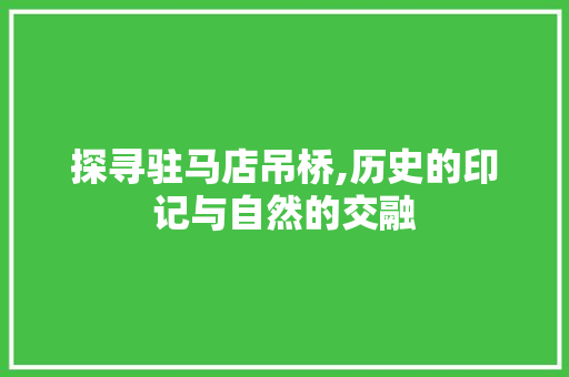 探寻驻马店吊桥,历史的印记与自然的交融