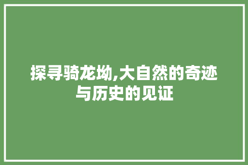 探寻骑龙坳,大自然的奇迹与历史的见证