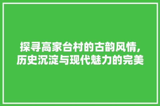 探寻高家台村的古韵风情,历史沉淀与现代魅力的完美融合