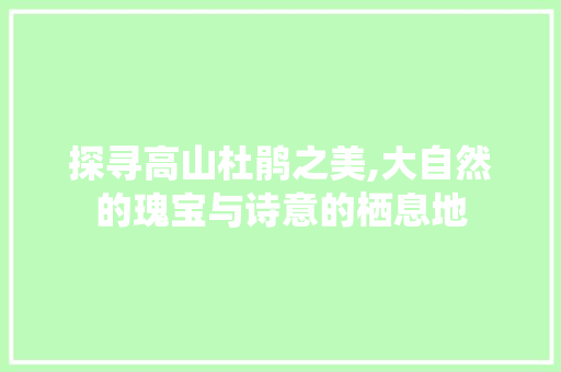 探寻高山杜鹃之美,大自然的瑰宝与诗意的栖息地  第1张