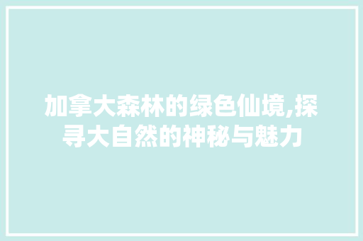 加拿大森林的绿色仙境,探寻大自然的神秘与魅力