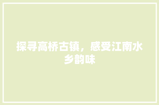 探寻高桥古镇，感受江南水乡韵味