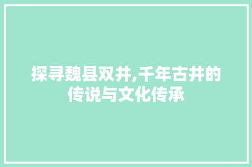 探寻魏县双井,千年古井的传说与文化传承  第1张