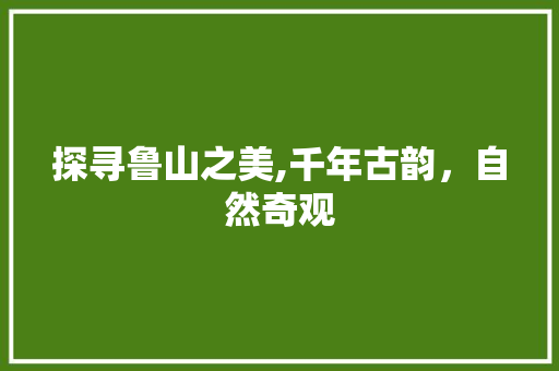 探寻鲁山之美,千年古韵，自然奇观